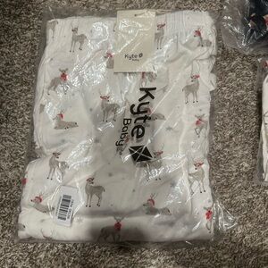 Kyte men’s lounge pants